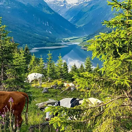 Schiestl Apartmán *